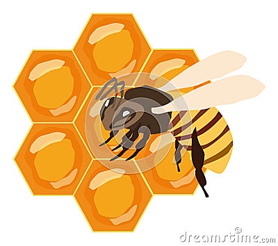 Honey combs with a bee on them Vector Illustration